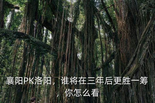襄陽PK洛陽，誰將在三年后更勝一籌，你怎么看