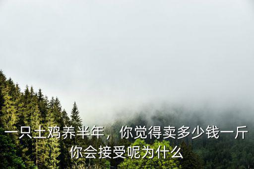 一只土雞養半年，你覺得賣多少錢一斤你會接受呢為什么