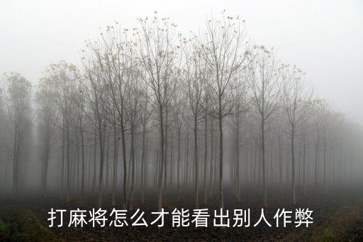 打麻將怎么才能看出別人作弊