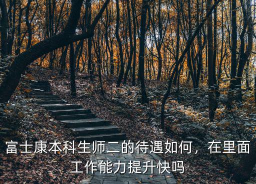 富士康本科生師二的待遇如何，在里面工作能力提升快嗎