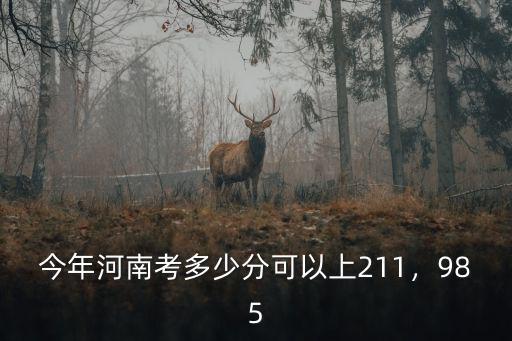 今年河南考多少分可以上211，985