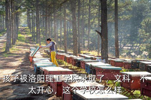 孩子被洛陽理工學院錄取了，文科，不太開心，這個學校怎么樣