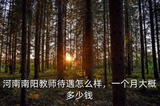 河南南陽月薪是多少,河南南陽教師待遇怎么樣