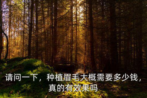 南陽種眉毛大概多少錢,種植眉毛大概需要多少錢