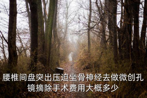 腰椎間盤突出壓迫坐骨神經(jīng)去做微創(chuàng)孔鏡摘除手術(shù)費用大概多少