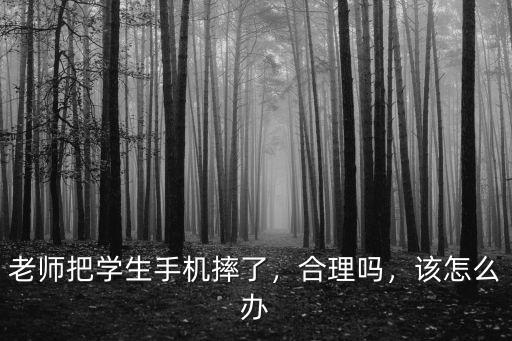 老師把學生手機摔了，合理嗎，該怎么辦