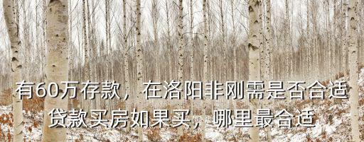 有60萬存款，在洛陽非剛需是否合適貸款買房如果買，哪里最合適