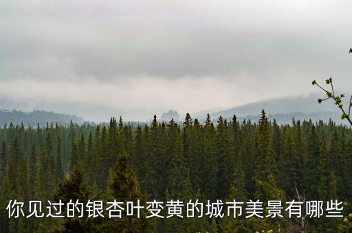 你見過的銀杏葉變黃的城市美景有哪些