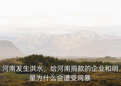 河南洪災(zāi)貴人鳥(niǎo)捐款多少,河南水災(zāi)少林寺捐款了嗎