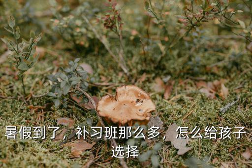鄭州哪里能給孩子上個暑假輔導(dǎo)班,怎么給孩子選擇