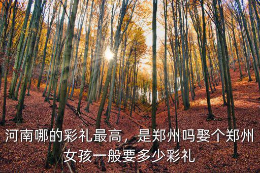 河南省商丘市彩禮錢最高多少,嫁妝一般是多少錢