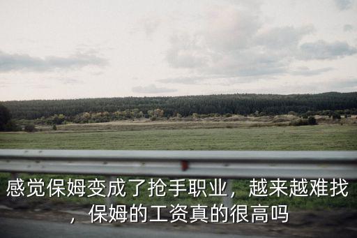 感覺保姆變成了搶手職業(yè)，越來越難找，保姆的工資真的很高嗎