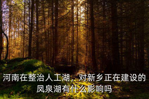 河南哪里有人工湖,河南在整治人工湖