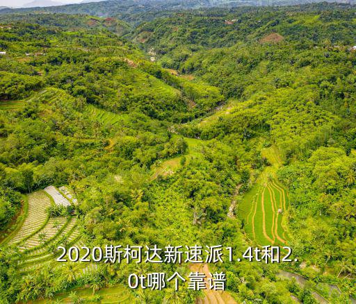 洛陽新速派怎么樣,想入手一輛新速派