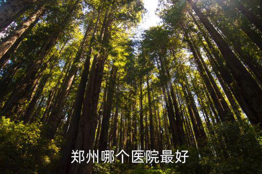 鄭州哪個醫院最好