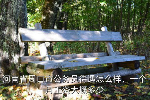 河南省省直公務(wù)員工資收入怎么樣,一個(gè)月工資大概多少