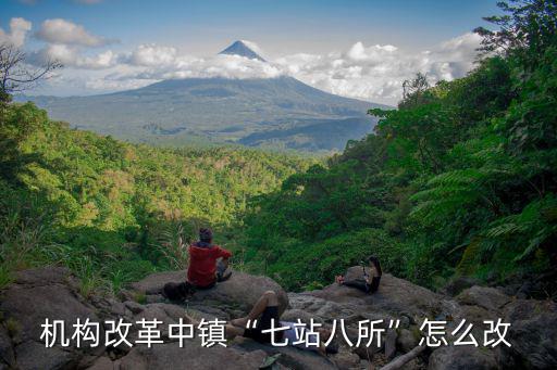 河南省機構改革后教師怎么改,機構改革中鎮七站八所怎么改