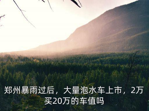鄭州暴雨過后，大量泡水車上市，2萬買20萬的車值嗎