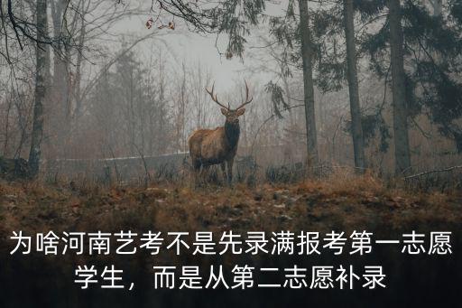 河南1藝術生怎么補錄,藝術生沒被學校錄上怎么辦