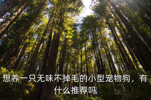 想養一只無味不掉毛的小型寵物狗，有什么推薦嗎