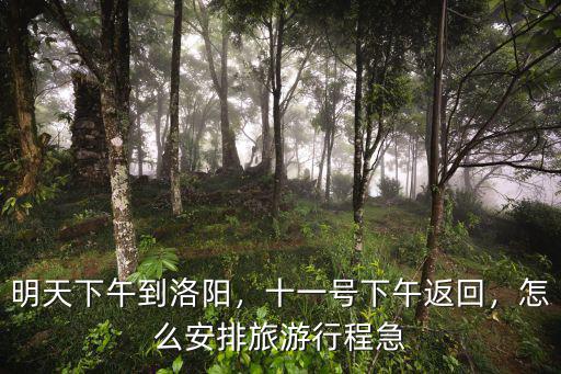 明天下午到洛陽，十一號下午返回，怎么安排旅游行程急