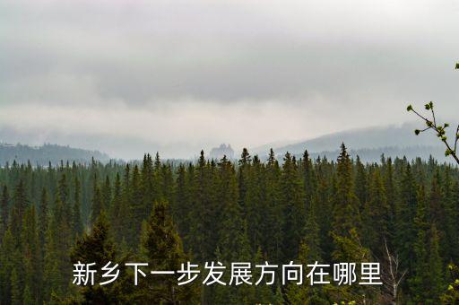 寶能在新鄉(xiāng)哪里投資,新鄉(xiāng)下一步發(fā)展方向在哪里