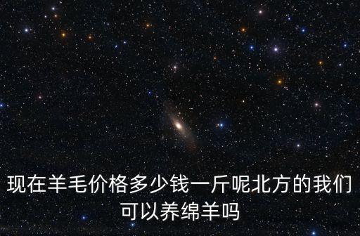 焦作的綿羊多少錢一斤,現在小母羊多少錢一斤