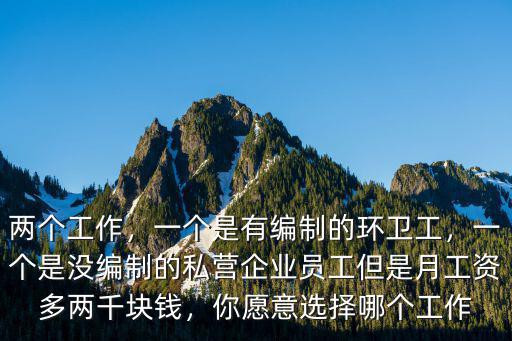 兩個工作，一個是有編制的環衛工，一個是沒編制的私營企業員工但是月工資多兩千塊錢，你愿意選擇哪個工作