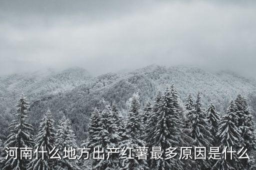 河南什么地方出產(chǎn)紅薯最多原因是什么
