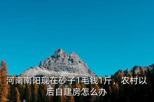 南陽農村房子怎么賣,農村以后自建房怎么辦