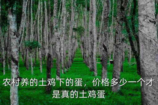 農(nóng)村養(yǎng)的土雞下的蛋，價格多少一個才是真的土雞蛋