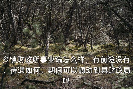 鄉鎮財政所事業編怎么樣，有前途沒有，待遇如何，期間可以調動到縣財政局嗎