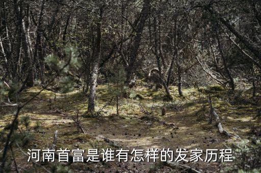 河南哪里發(fā)家最好,河南首富是誰