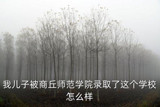 我兒子被商丘師范學院錄取了這個學校怎么樣