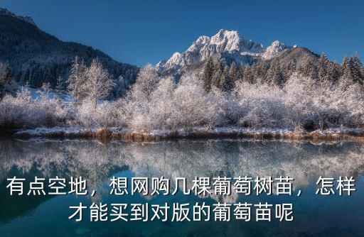鄭州哪里能買到葡萄苗,遼寧哪里能買到藍(lán)寶石莆萄苗