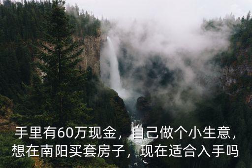 手里有60萬(wàn)現(xiàn)金，自己做個(gè)小生意，想在南陽(yáng)買套房子，現(xiàn)在適合入手嗎
