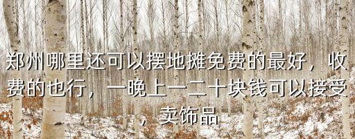 鄭州哪里可以擺夜路,一晚上一二十塊錢可以接受