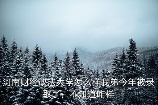 考研河南財經學院怎么樣,河南財經政法大學怎么樣