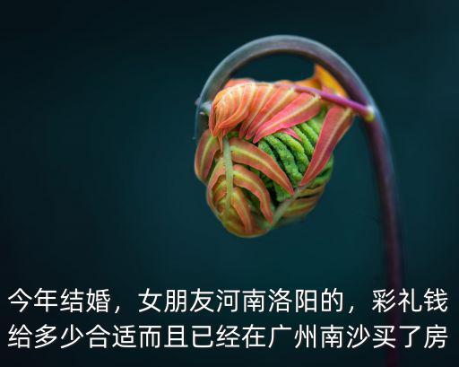 今年結婚，女朋友河南洛陽的，彩禮錢給多少合適而且已經在廣州南沙買了房