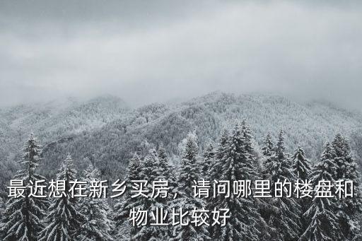 最近想在新鄉(xiāng)買房，請(qǐng)問(wèn)哪里的樓盤和物業(yè)比較好