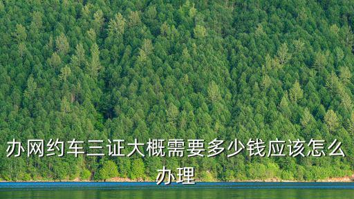 在鄭州網(wǎng)約車手續(xù)辦下來(lái)的多少錢,在鄭州跑滴滴怎么樣