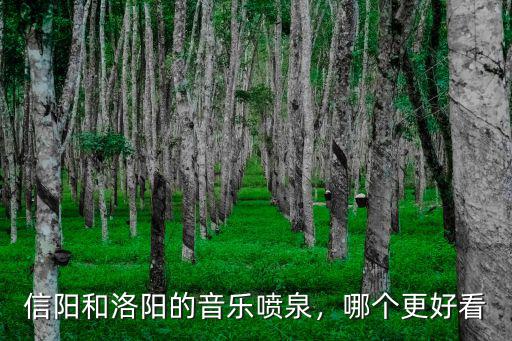 信陽和洛陽的音樂噴泉，哪個更好看