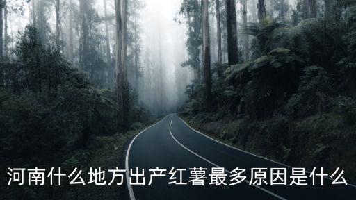 河南哪里可以種植紅薯,云南地瓜在河南可以種植嗎