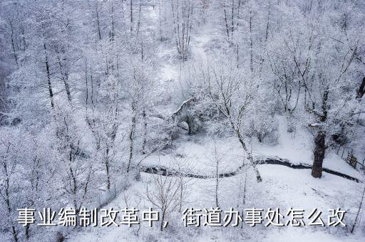 河南街道辦怎么改革,街道辦事處怎么改