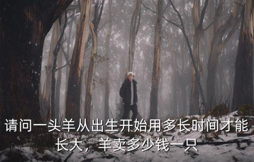 請問一頭羊從出生開始用多長時間才能長大，羊賣多少錢一只