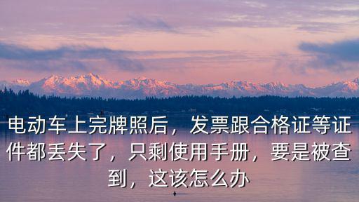 電動車上完牌照后，發(fā)票跟合格證等證件都丟失了，只剩使用手冊，要是被查到，這該怎么辦