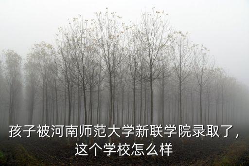 孩子被河南師范大學新聯學院錄取了，這個學校怎么樣