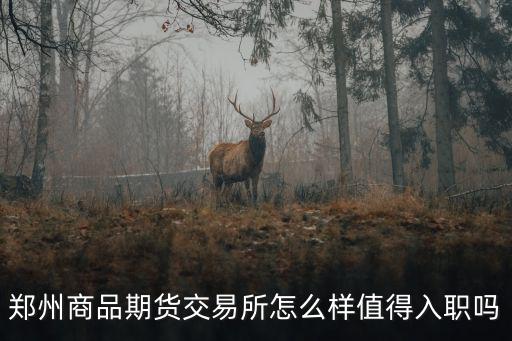 鄭州商品期貨交易所怎么樣值得入職嗎