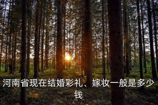新鄉訂婚一般拿多少禮,新鄉的彩禮是多少