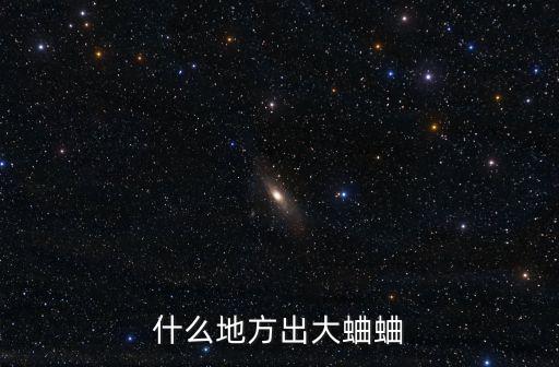什么地方出大蛐蛐